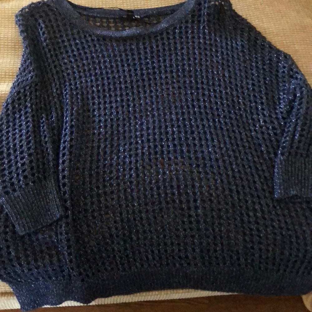 Express sparkle sweater